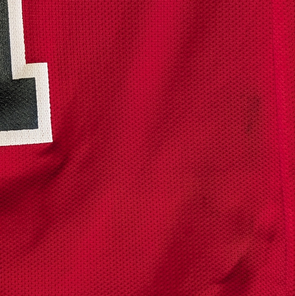 Vintage 90s Champion Dennis Rodman Chicago Bulls Jersey Mens 40 Basketball NBA - Picture 7 of 8